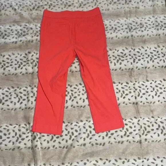 Women’s Rafaella Pants - Picture 2 of 4